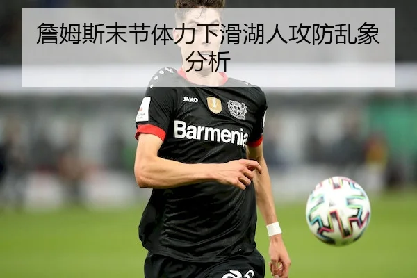 zhan-mu-si-mo-jie-ti-li-xia-hua-hu-ren-gong-fang-luan-xiang-fen-xi-2-691.jpg